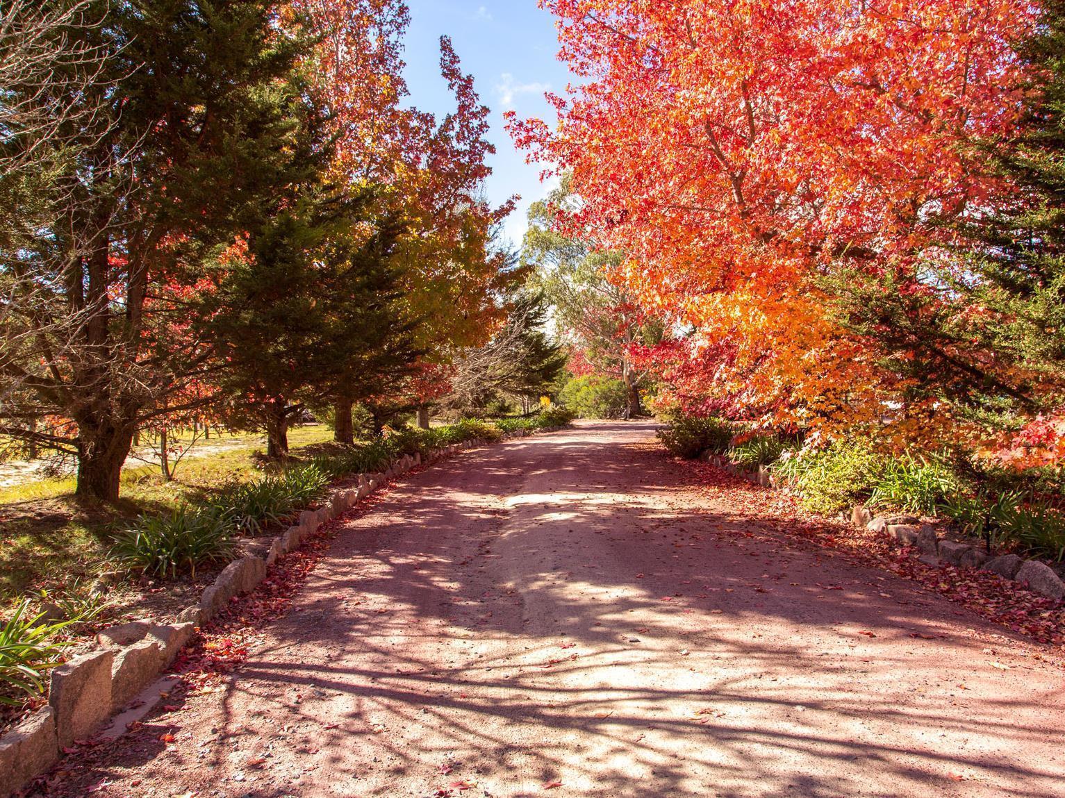 Granite Belt Retreat And Brewery